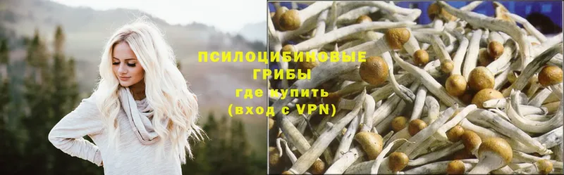 Галлюциногенные грибы Magic Shrooms  Мичуринск 